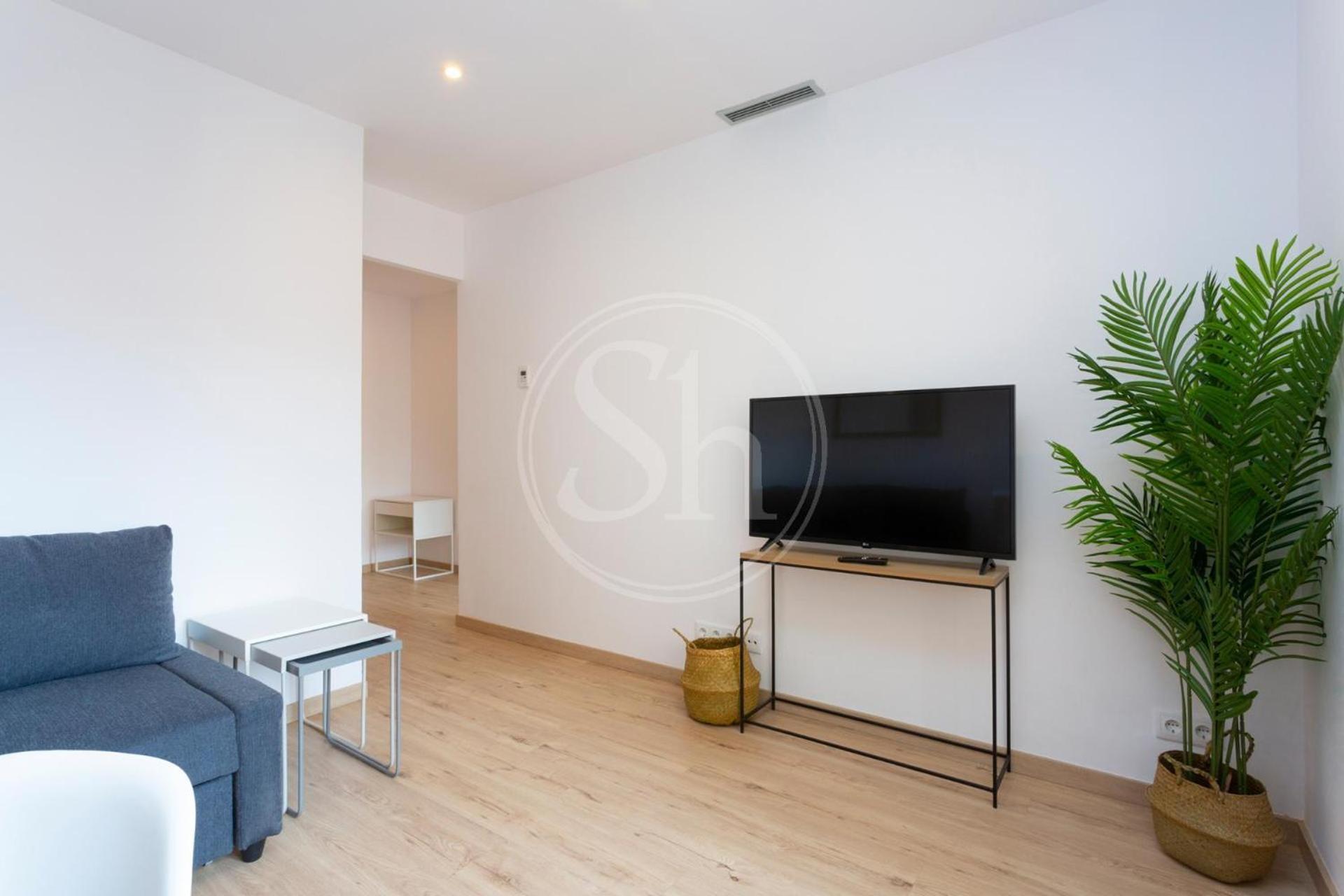 Appartement Comodo 5 *